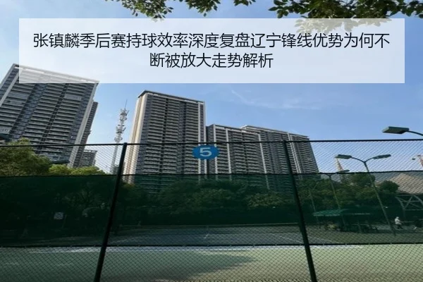 张镇麟季后赛持球效率深度复盘辽宁锋线优势为何不断被放大走势解析 - NiuBa Sports